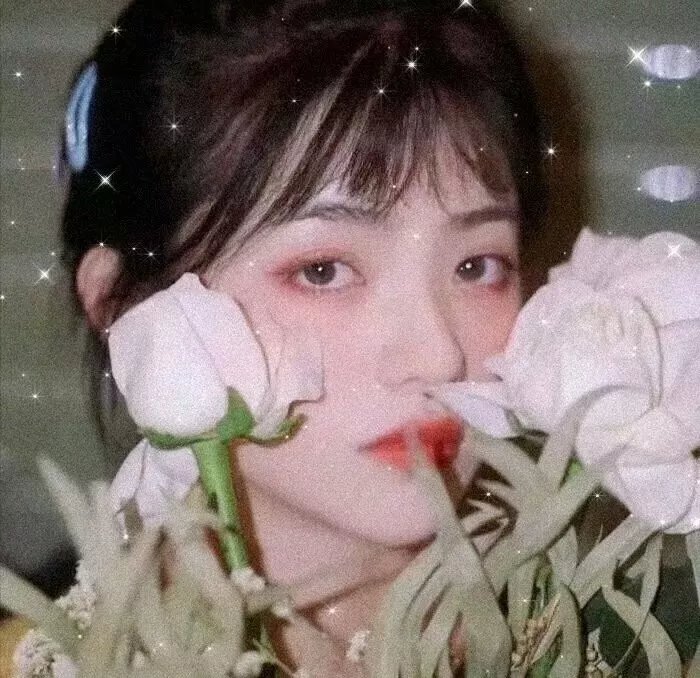 天才一族海报