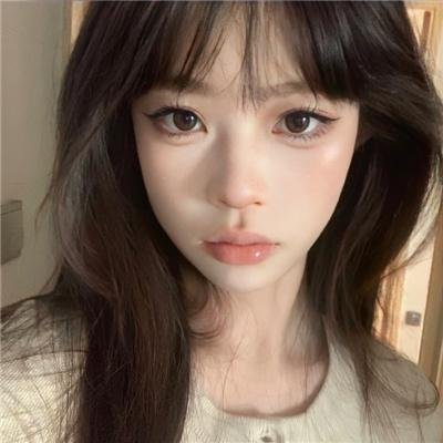 女仆日记海报